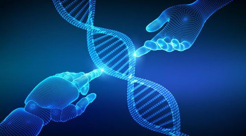 禾元生物IPO之路 業(yè)績連年虧損，技術(shù)開發(fā)與產(chǎn)品商業(yè)化雙重挑戰(zhàn)